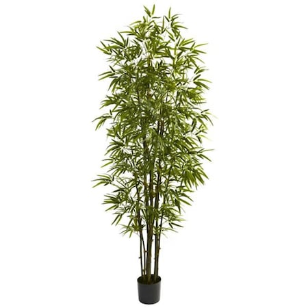 Dare2Decor 7&rsquo; Green Bamboo Tree DA408351